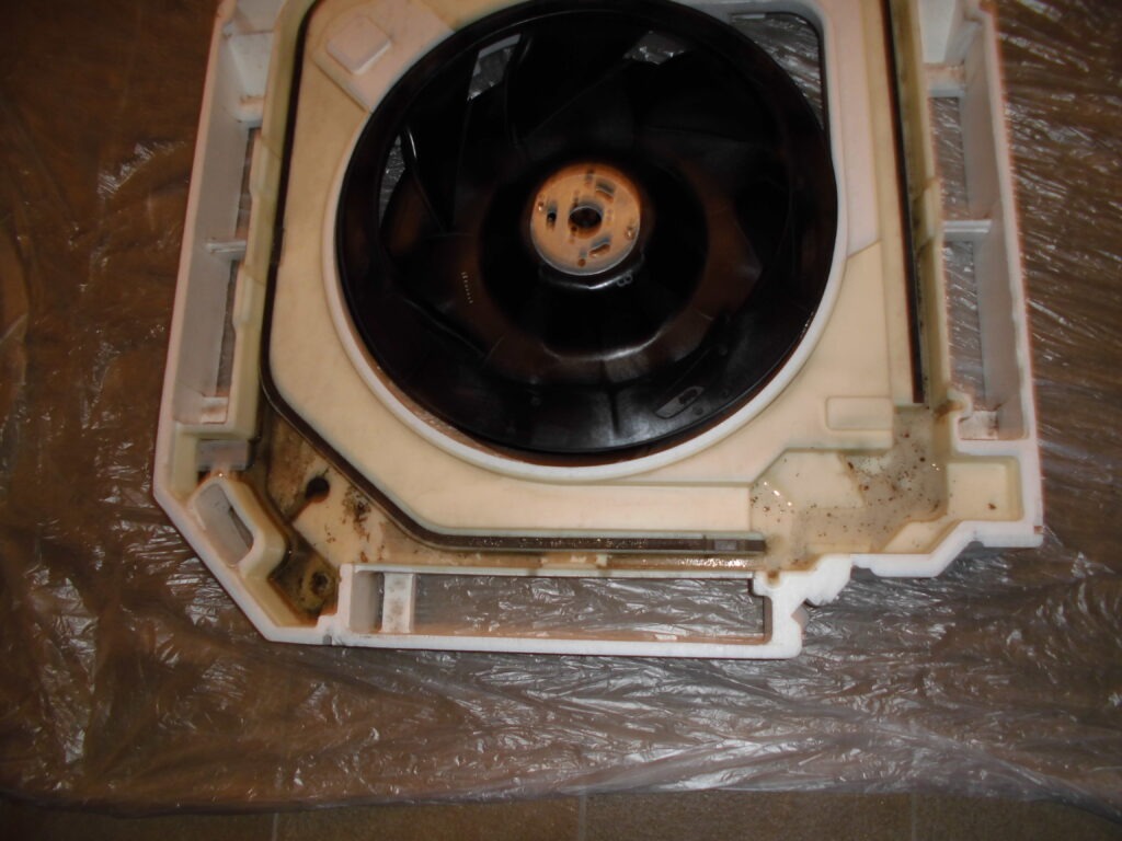 向日市の飲食店 業務用エアコン ドレンパン洗浄前