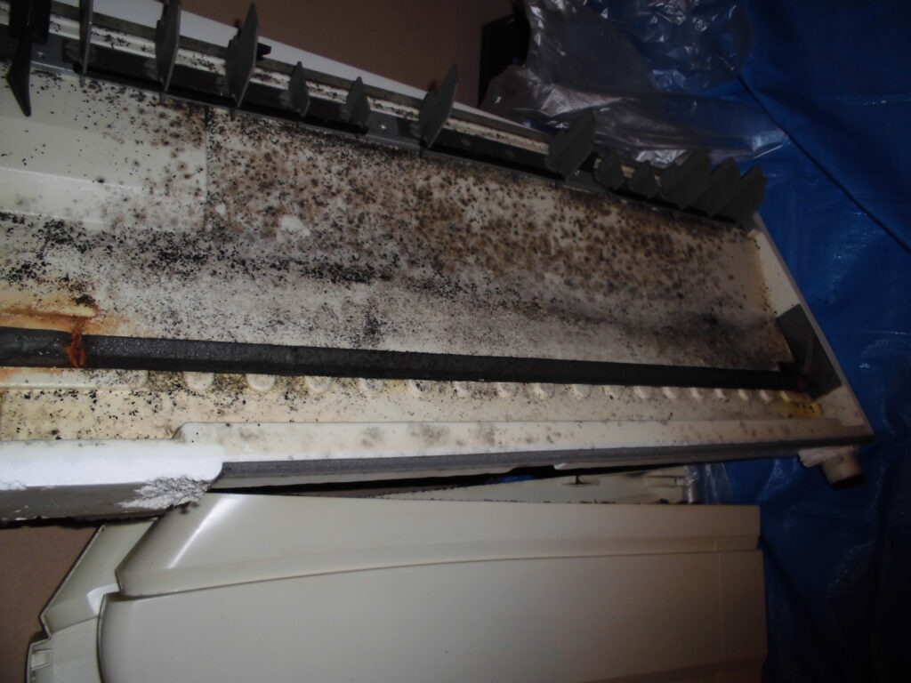 八幡市のオフィス 業務用エアコン内部 高圧洗浄