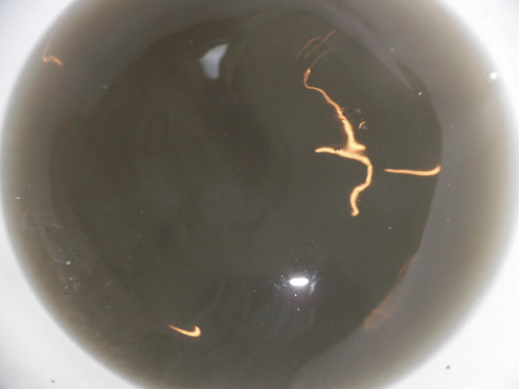 京都市の飲食店舗で業務用エアコンクリーニング 洗浄後